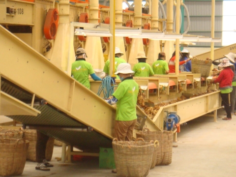 HÌNH ẢNH KHU SẢN XUẤT