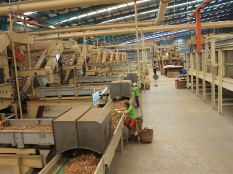 HÌNH ẢNH KHU SẢN XUẤT